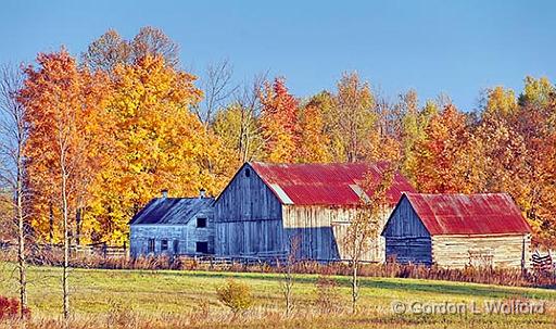 Autumn Barns_29845.jpg - Photographed near Lombardy, Ontario, Canada.